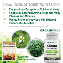 Load image into Gallery viewer, Chaya Capsules (1 Month Supply per Bottle)