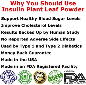 Insulin Plant Capsules (2 Month Supply per Bottle)