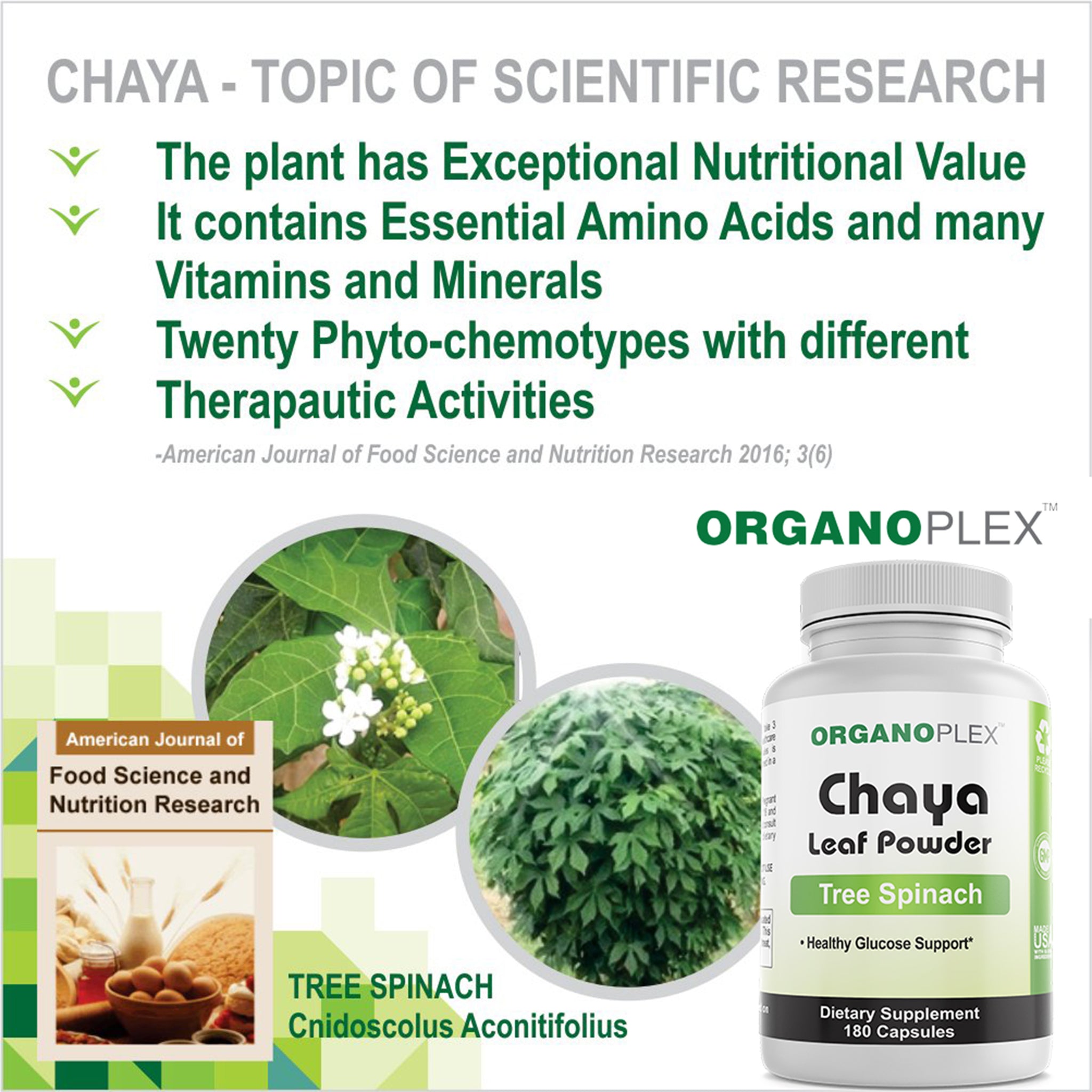 Chya Powder Chaya Capsules (1 Month Supply per Bottle) – ORGANOPLEX