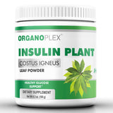 Insulin Plant Leaf Powder