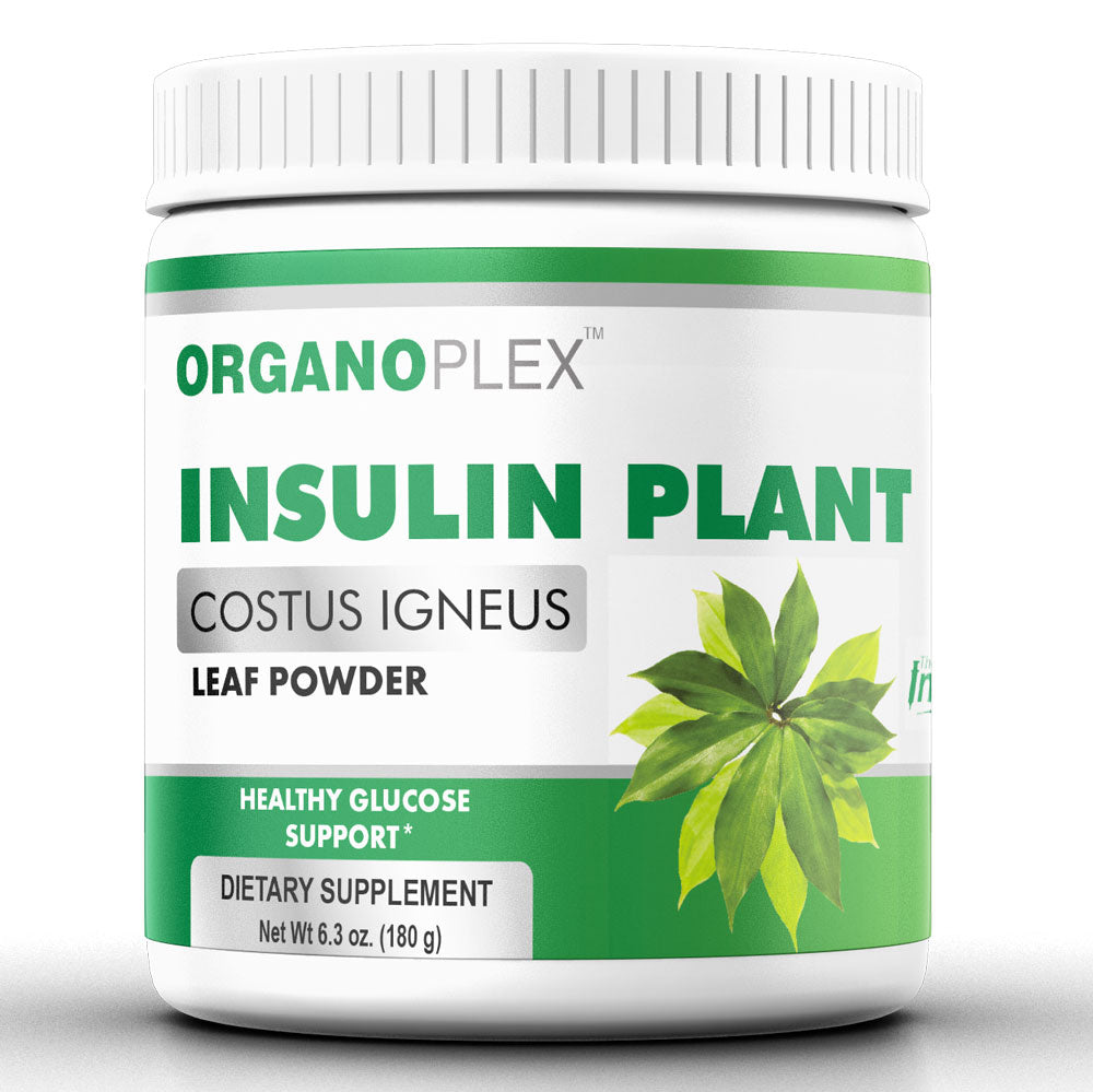 Insulin Plant Leaf Powder (2 Month Supply per Jar)