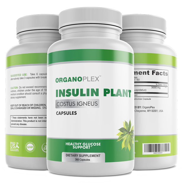 Insulin Plant Capsules