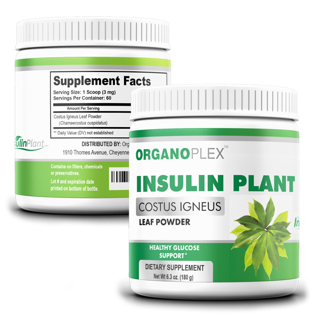 Insulin Plant Powder